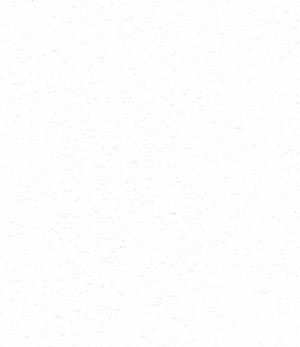 Blat HPL UNICOLOR - WHITE ROCK